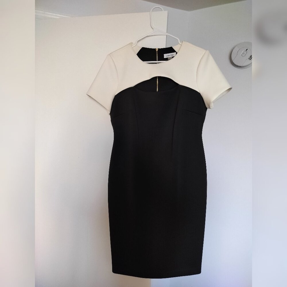 Calvin Klein Women's Black & White Dress Size 12